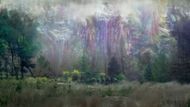 Scene from Annihilation | Image via Paramount Pictures